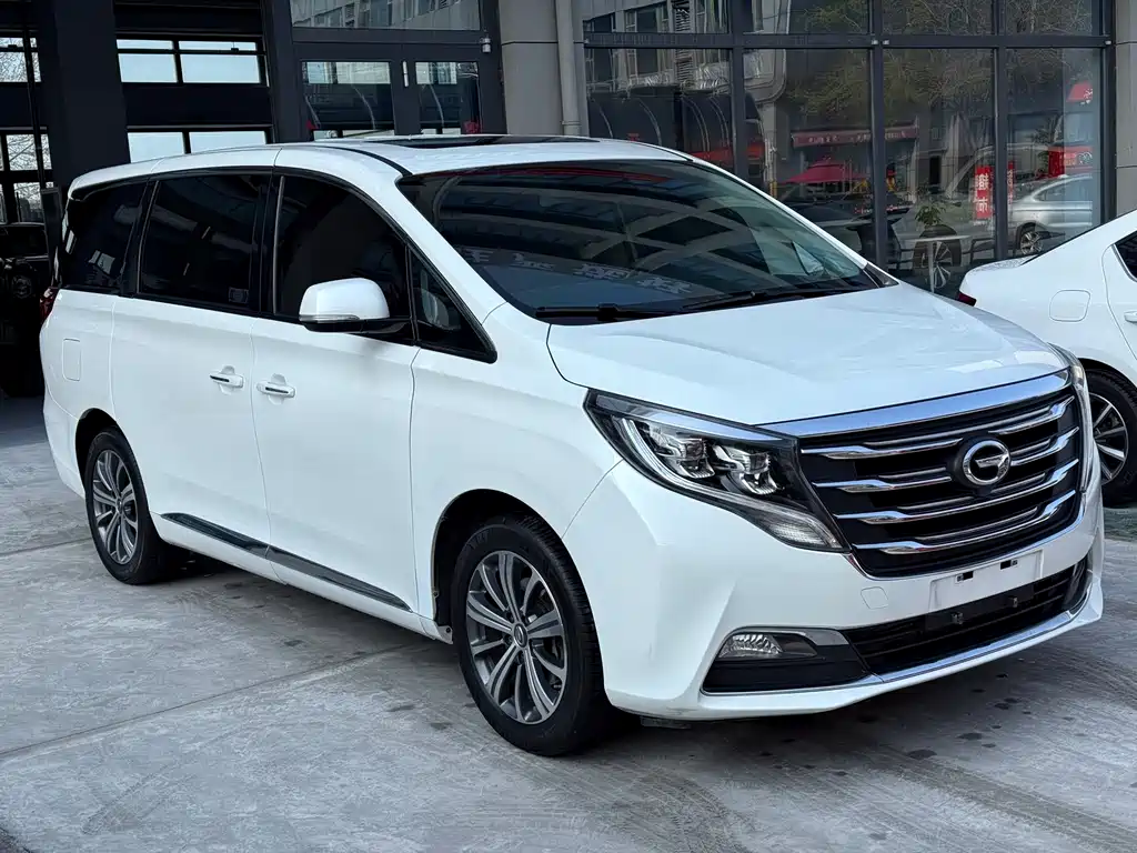 GAC Motor Trumpchi M8 2019 — фото 6