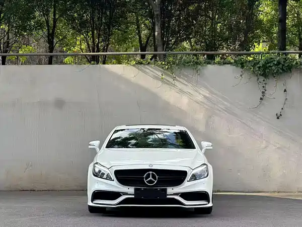 Mercedes-Benz CLS 2014