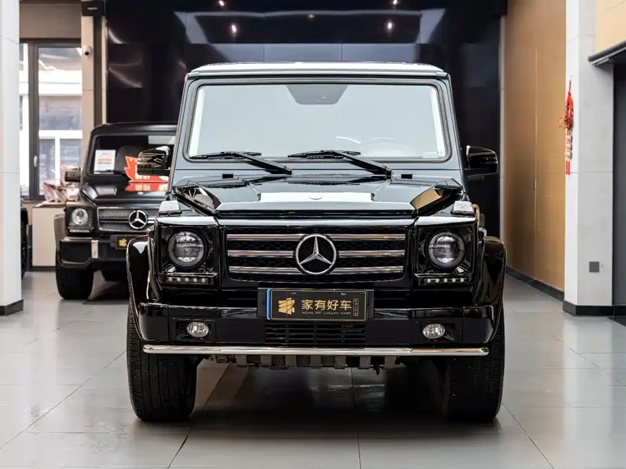 Mercedes-Benz G-Class 2012 — фото 2