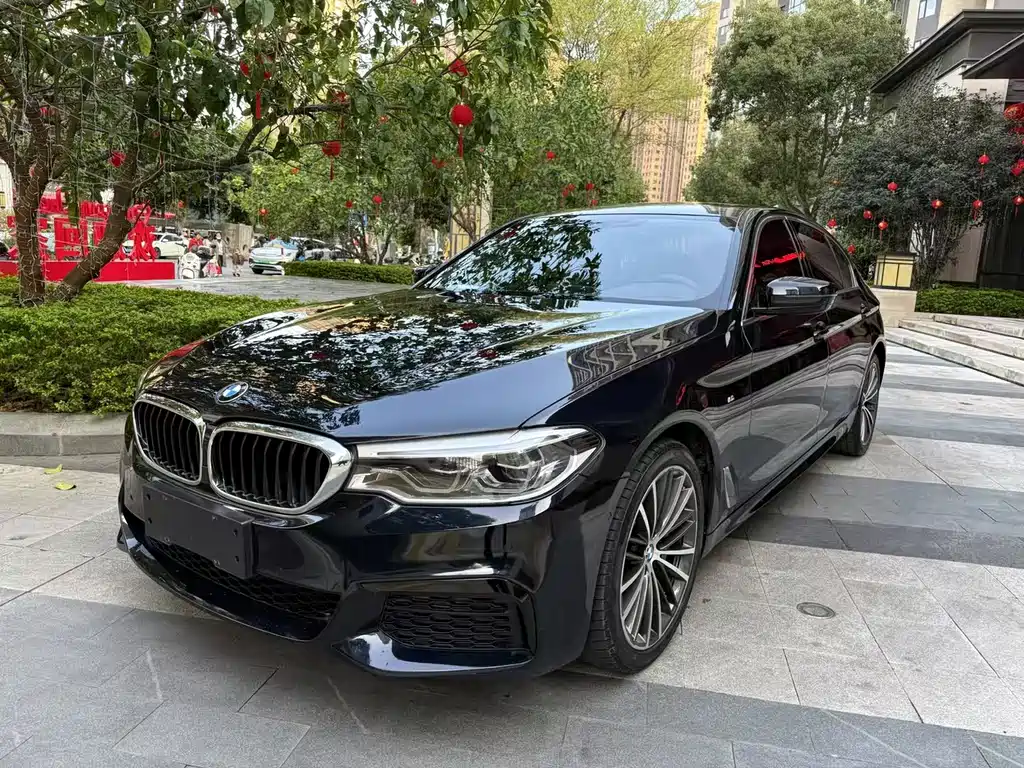 BMW 5 Series 2020 — фото 1