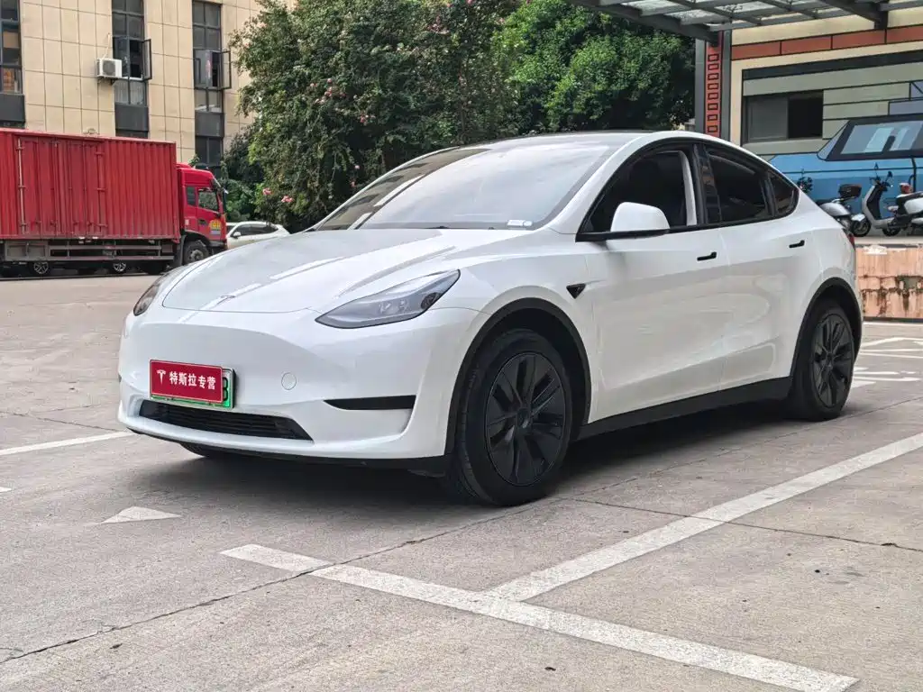 Tesla Model Y 2025 — фото 1