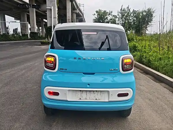 Bestune Pony 2024