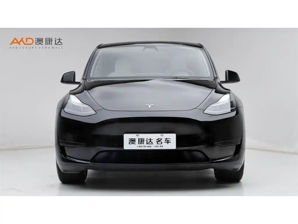Tesla Model Y 2023 — фото 2