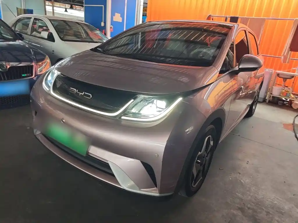 BYD Dolphin 2022