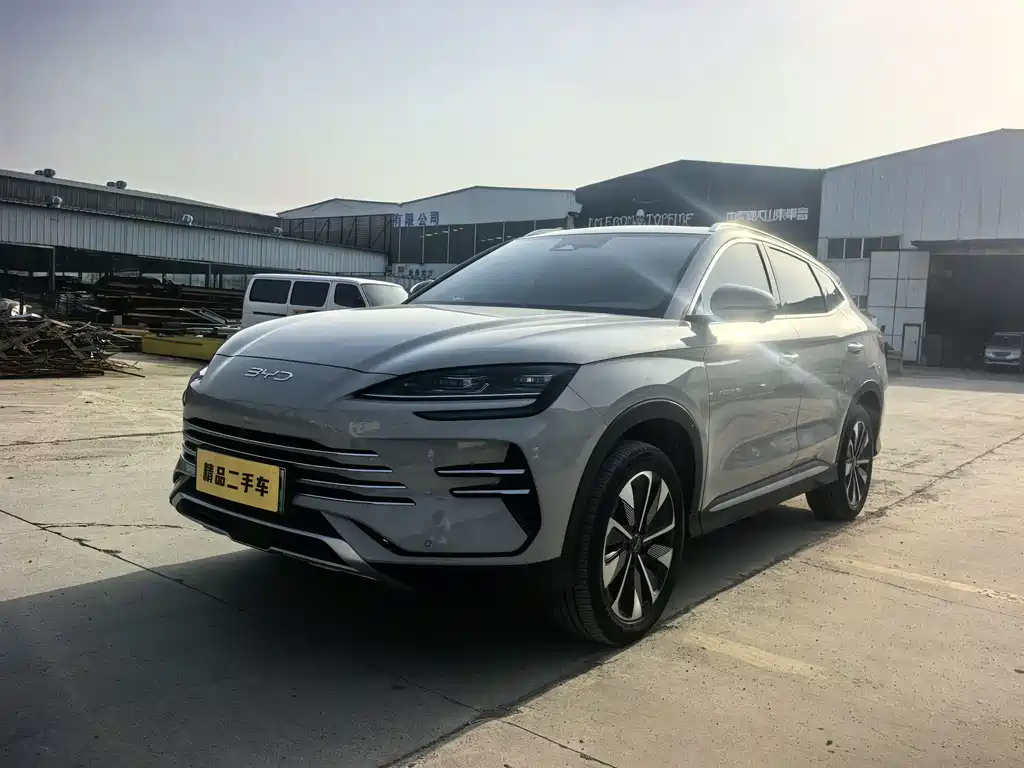 BYD PLUS New Energy 2024 — фото 1