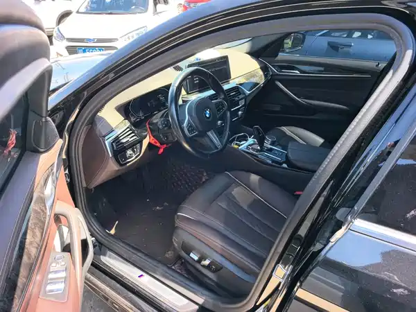 BMW 5 Series New Energy 2021
