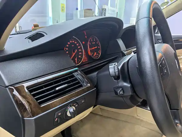 BMW 5 Series 2010