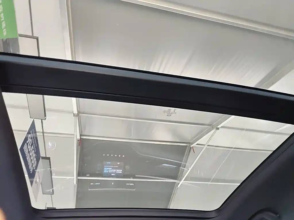 BYD PLUS New Energy 2023 — фото 18