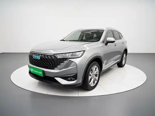 Haval H6 New Energy 2022