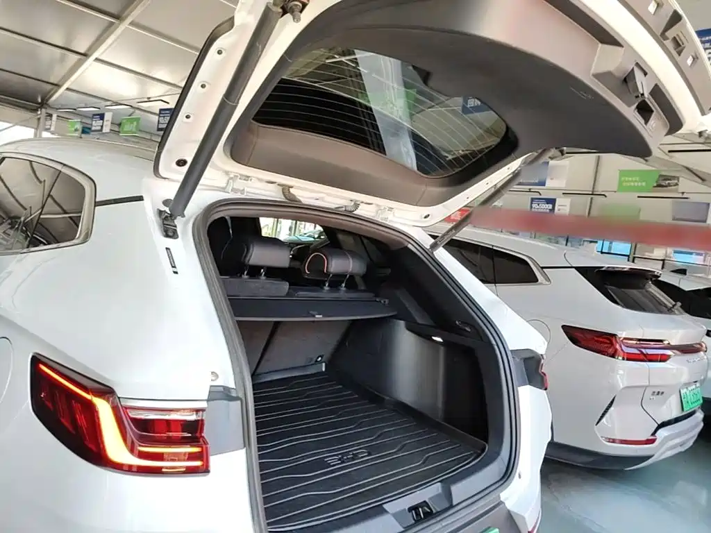 BYD PLUS New Energy 2023 — фото 19
