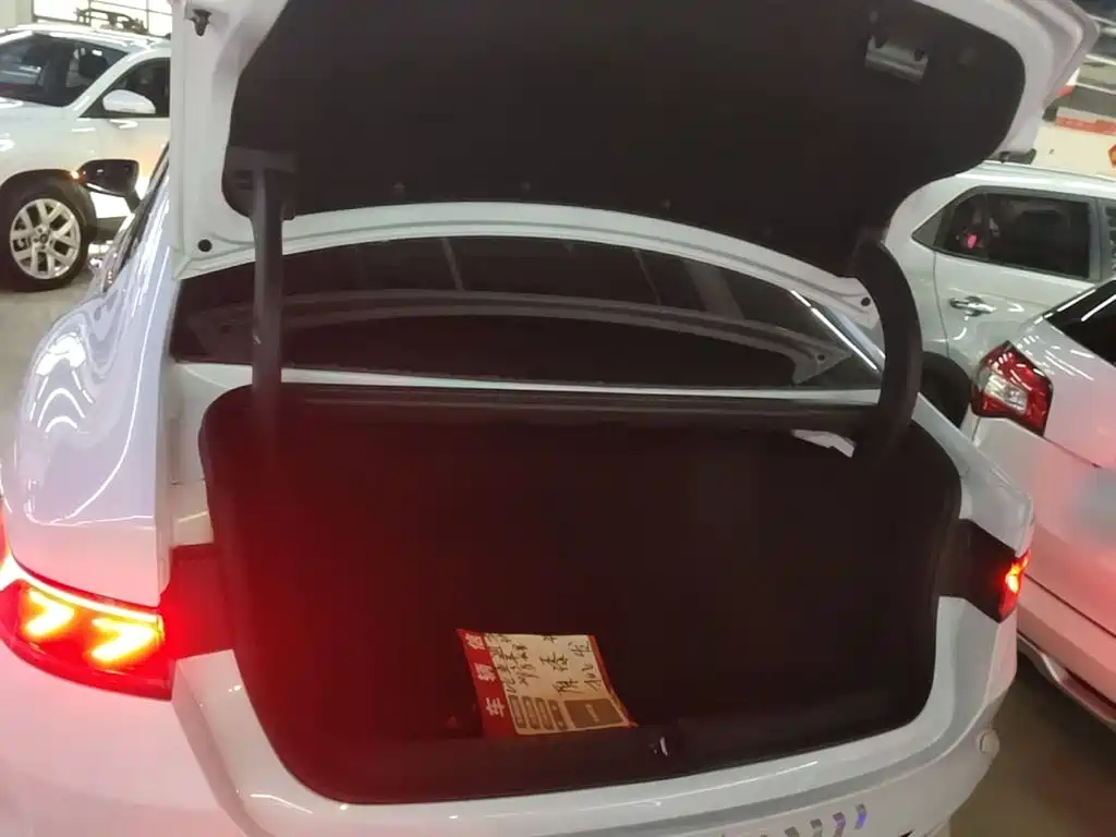 BYD Qin PLUS 2023 — фото 19