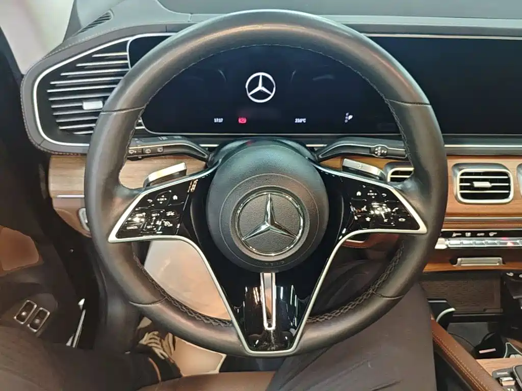 Mercedes-Benz GLE New Energy 2024 — фото 11