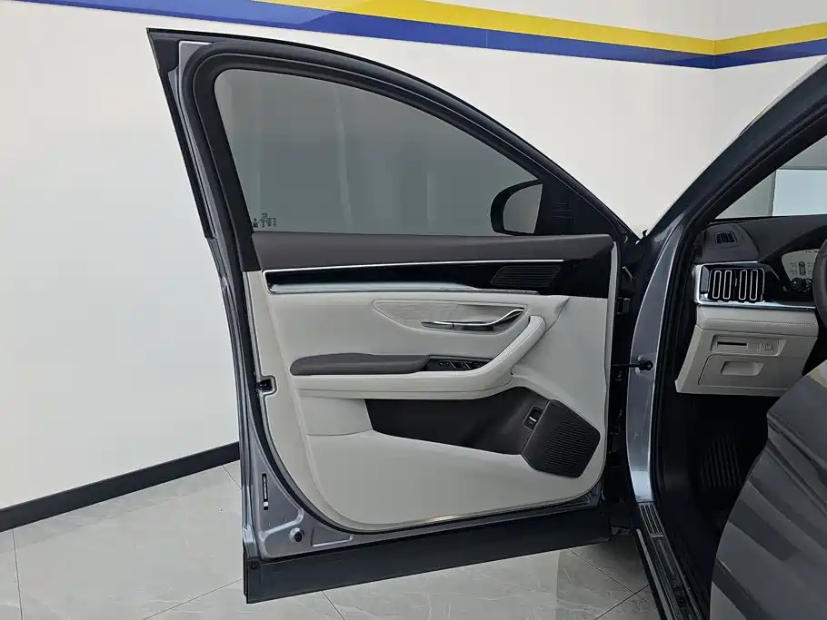 BYD Song PLUS New Energy 2025 — фото 7