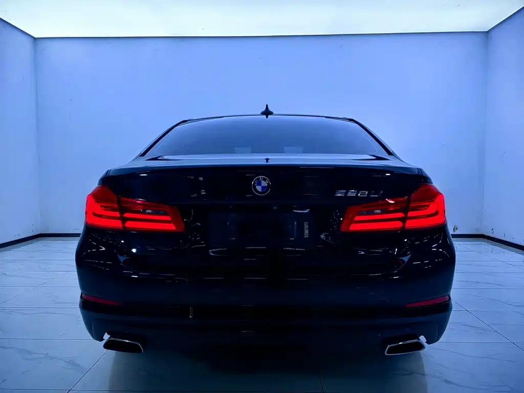 BMW 5 Series 2017 — фото 16