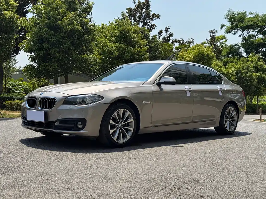 BMW 5 Series 2017 — фото 1