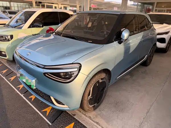 Dongfeng Nano 01 2025