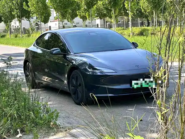 Tesla Model 3 2024