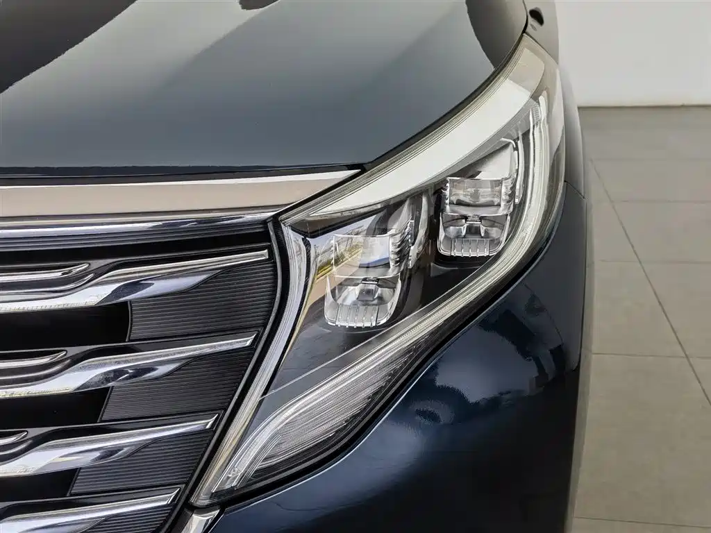 GAC Motor Trumpchi M8 2018 — фото 7