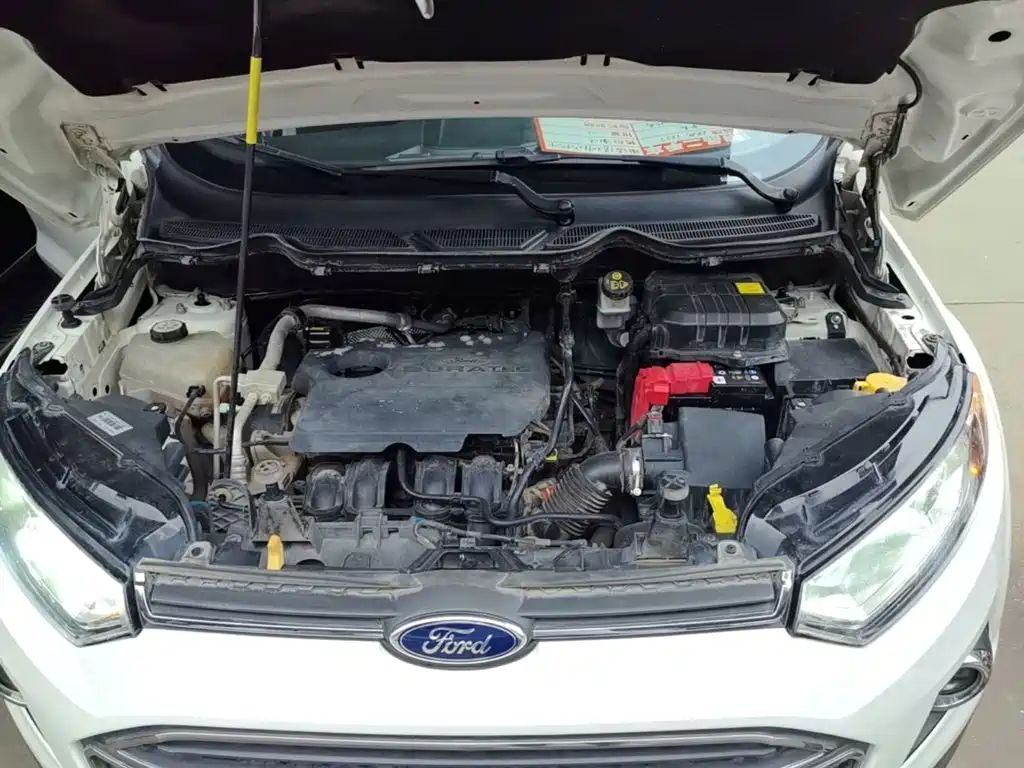 Ford Ecosport 2016 — фото 20