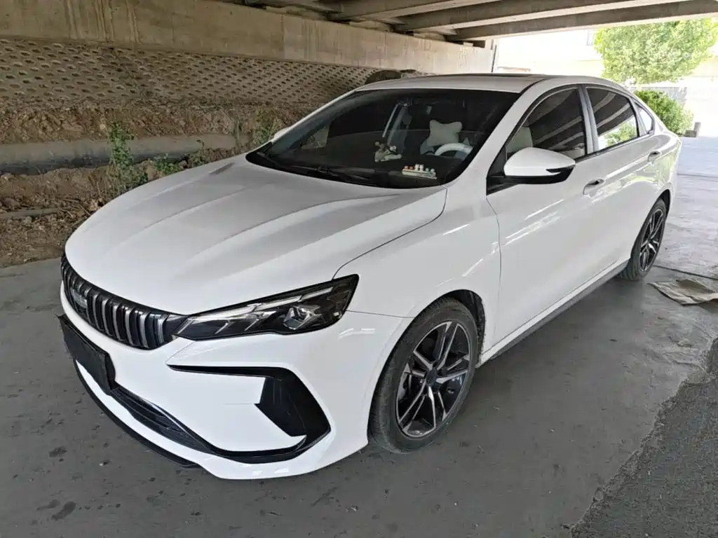 Geely Binrui 2024