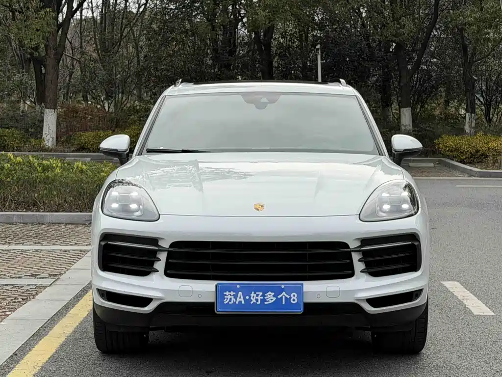 Porsche Cayenne 2020 — фото 2