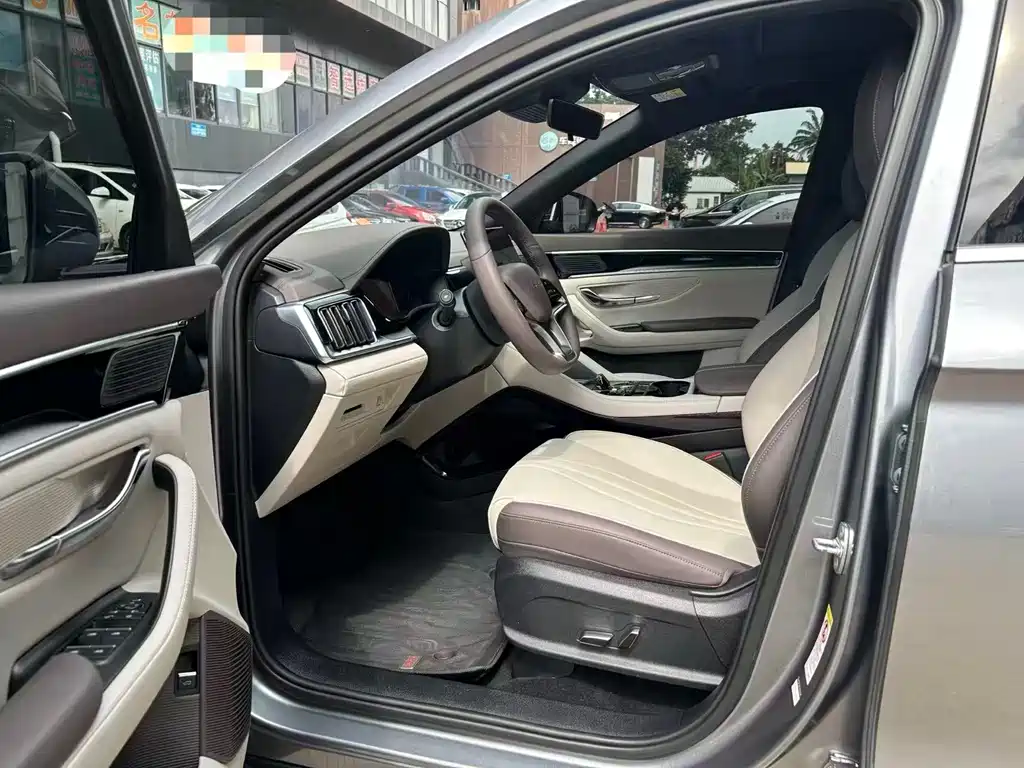 BYD PLUS New Energy 2024 — фото 4