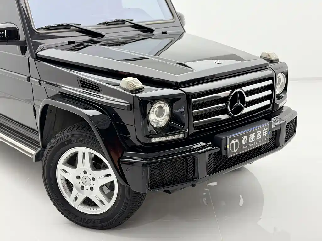 Mercedes-Benz G-Class 2018 — фото 13