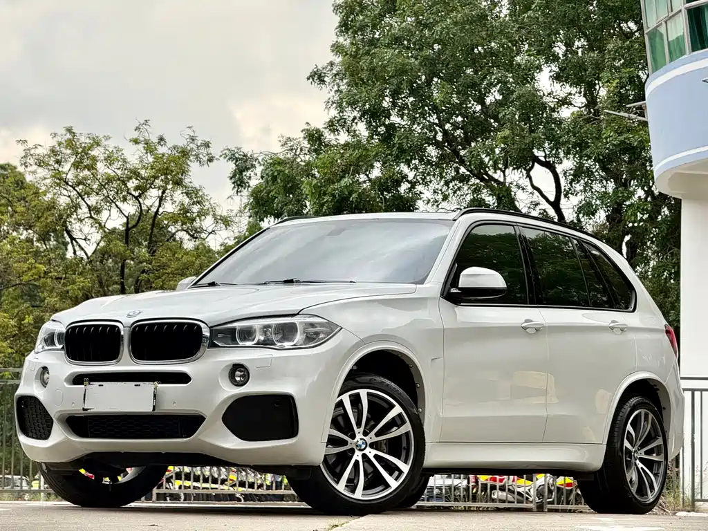 BMW X5 2017 — фото 1