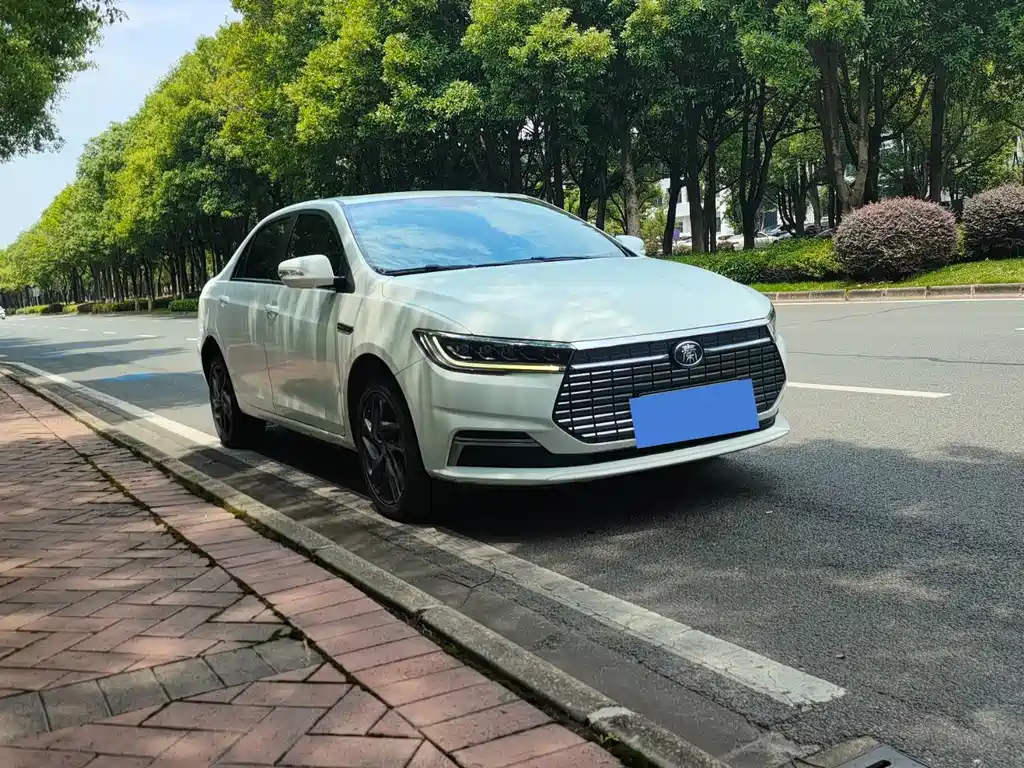 BYD Qin NEV 2020 — фото 3