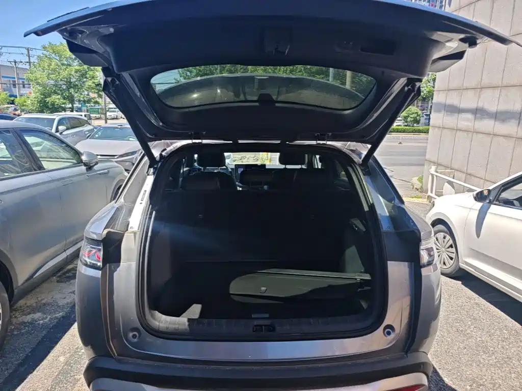 BYD L DM-i 2025 — фото 19