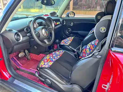 MINI MINI 2013