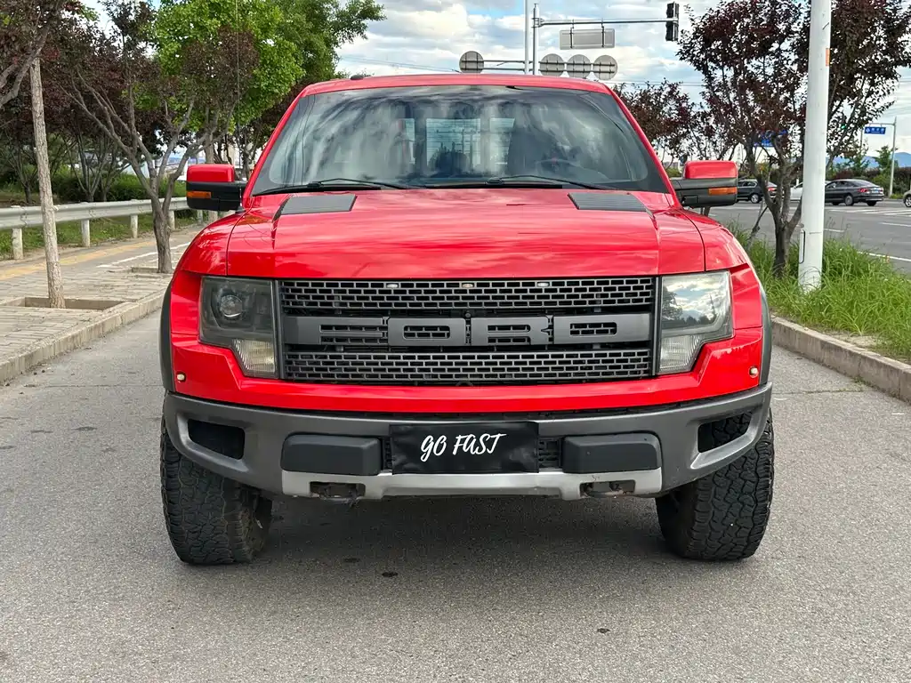 Ford F-150 Raptor 2015 — фото 2