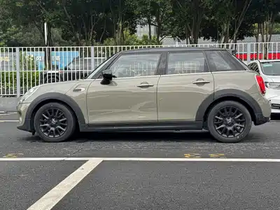 MINI MINI 2019