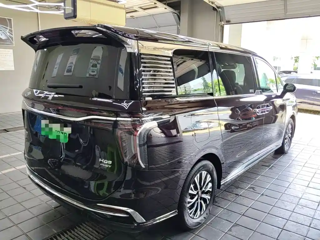 Hongqi HQ9 PHEV 2024 — фото 5