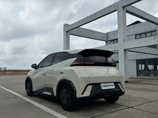 BYD Seagull 2024