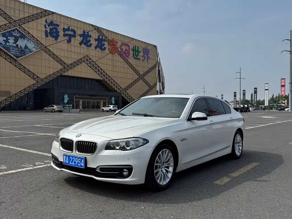 BMW 5 Series 2015