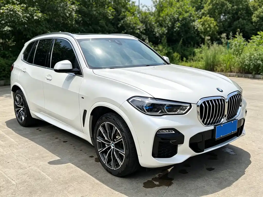 BMW X5 2019 — фото 3