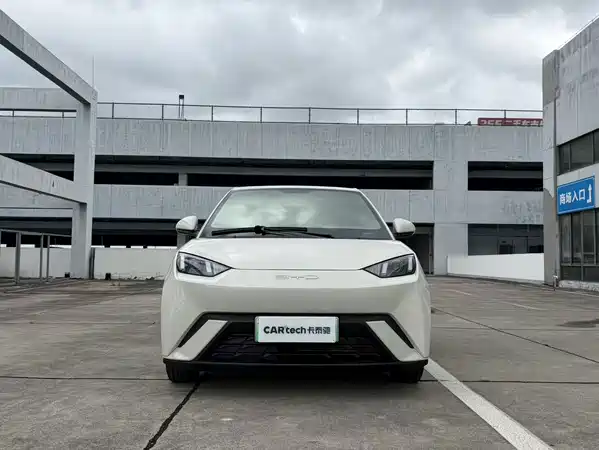 BYD Seagull 2024