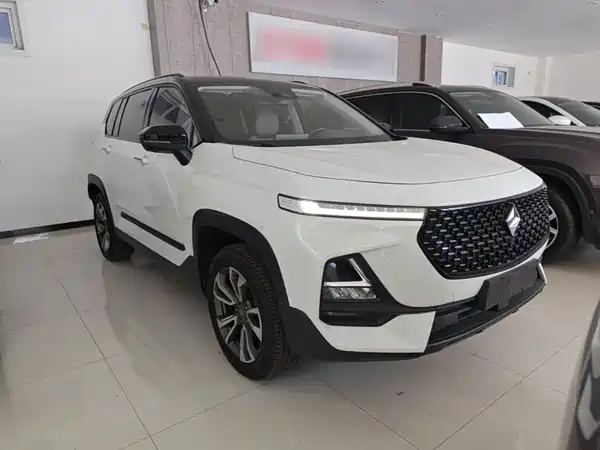 Baojun RS-5 2019
