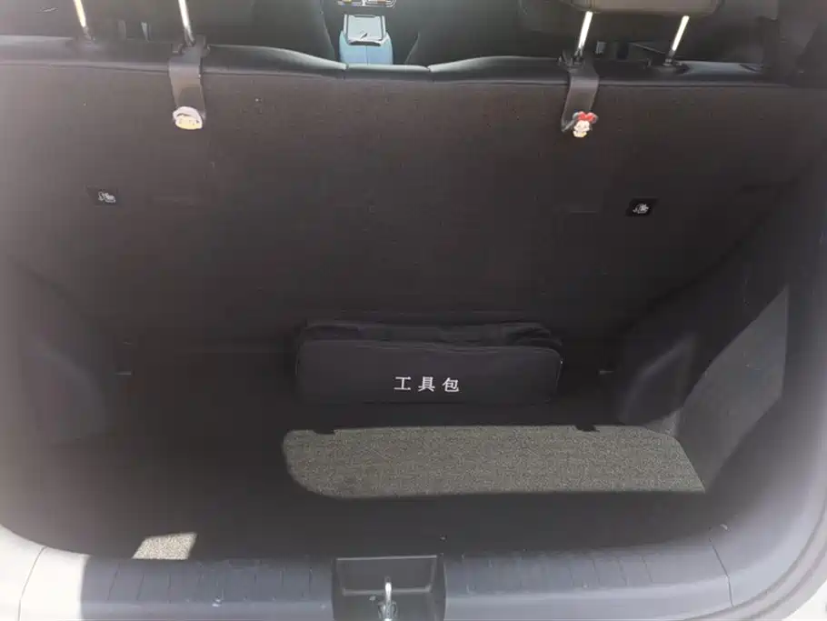 BYD Seagull 2024