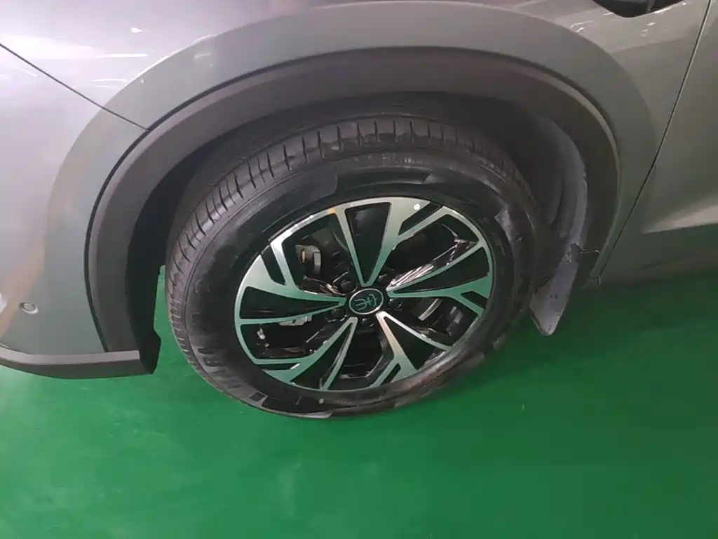 BYD Pro New Energy 2025 — фото 23