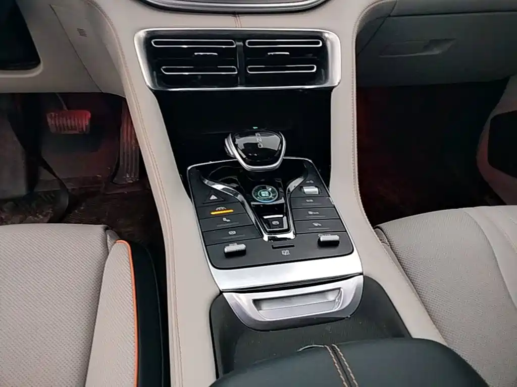 BYD PLUS New Energy 2023 — фото 14
