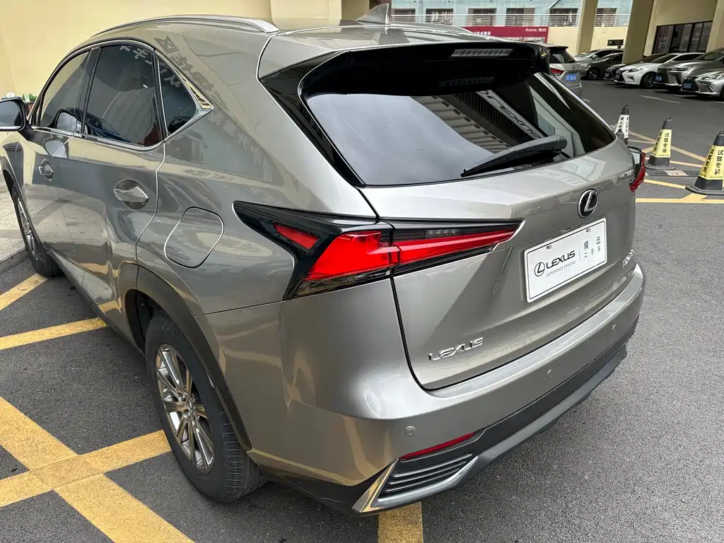 Lexus NX 2019 — фото 24