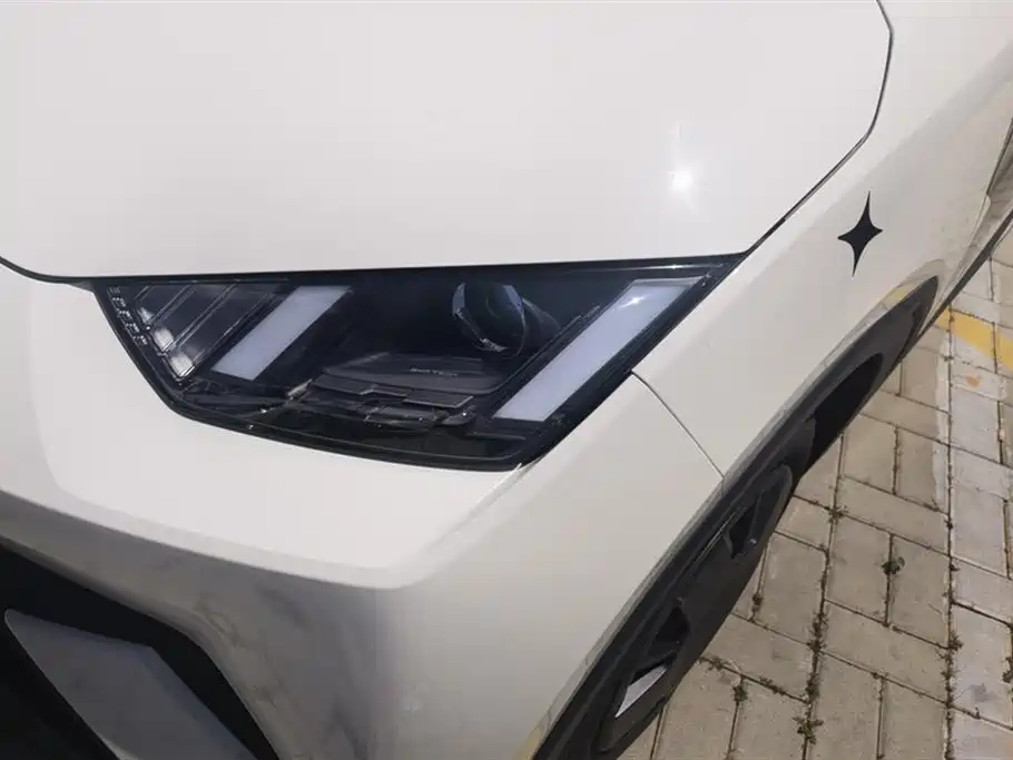 BYD Seagull 2024