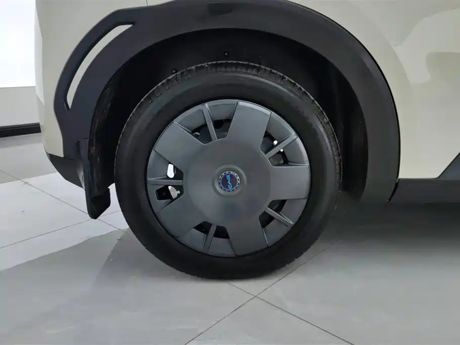 BYD Seagull 2025