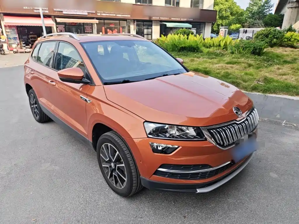 Skoda Karoq 2019 — фото 4