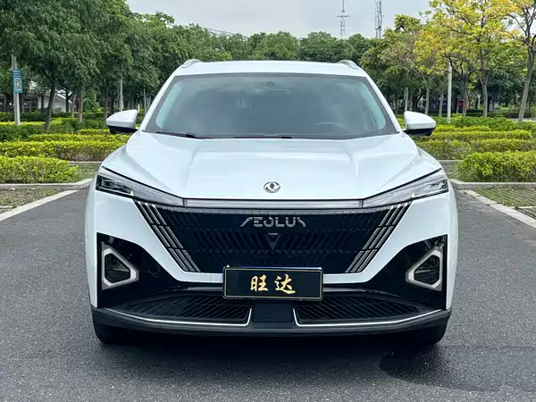 Dongfeng Haohan 2024