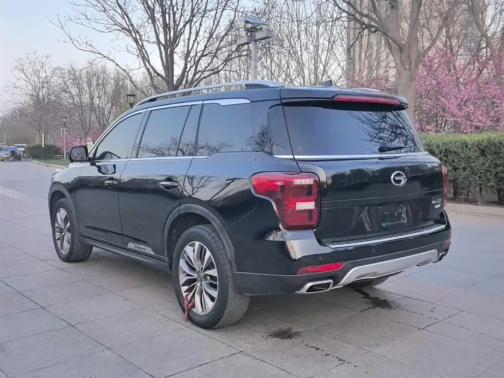 GAC Motor Trumpchi GS8 2017 — фото 6