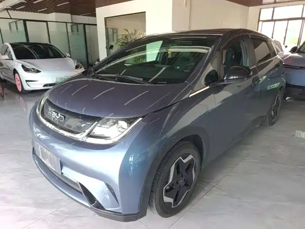BYD Dolphin 2024