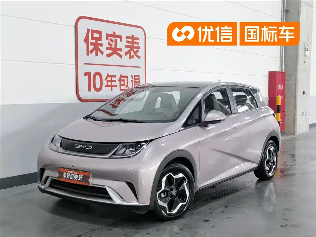 BYD Dolphin 2022